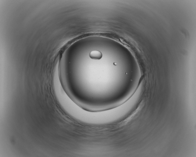 X0000113041449200909101908