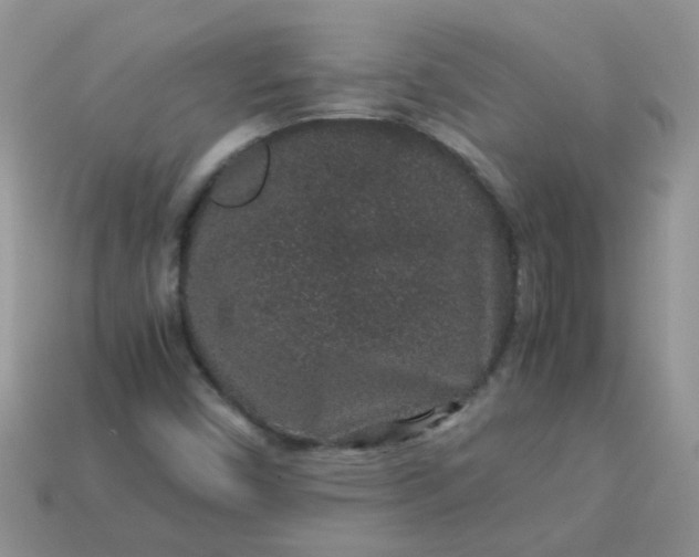X0000113041450200909101908