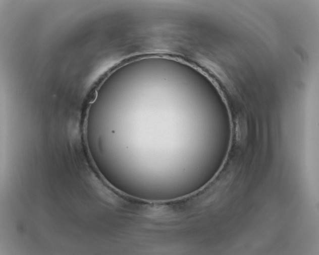X0000113041452200909101908