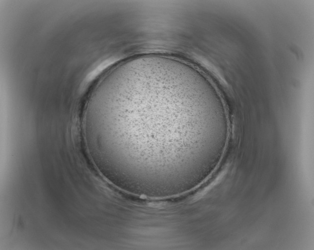 X0000113041453200909101908