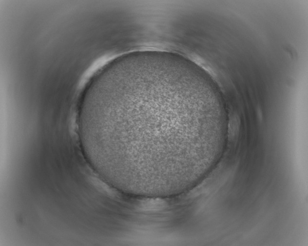 X0000113041454200909101908
