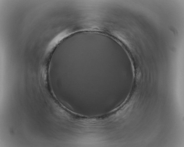 X0000113041455200909101908
