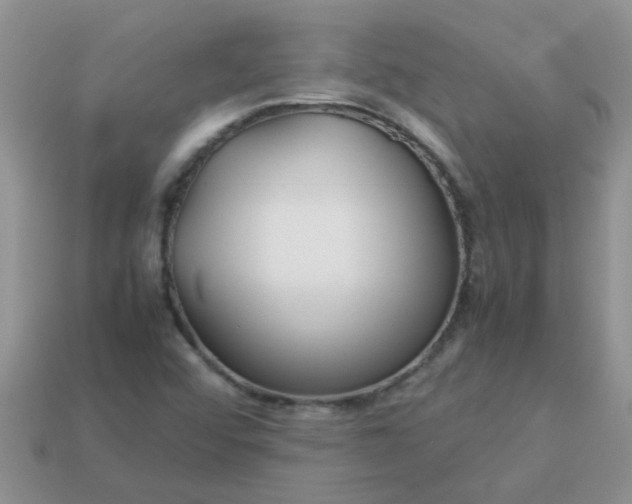 X0000113041456200909101908