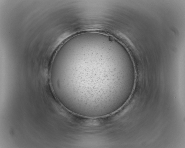 X0000113041457200909101908