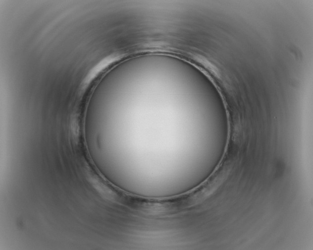 X0000113041458200909101908