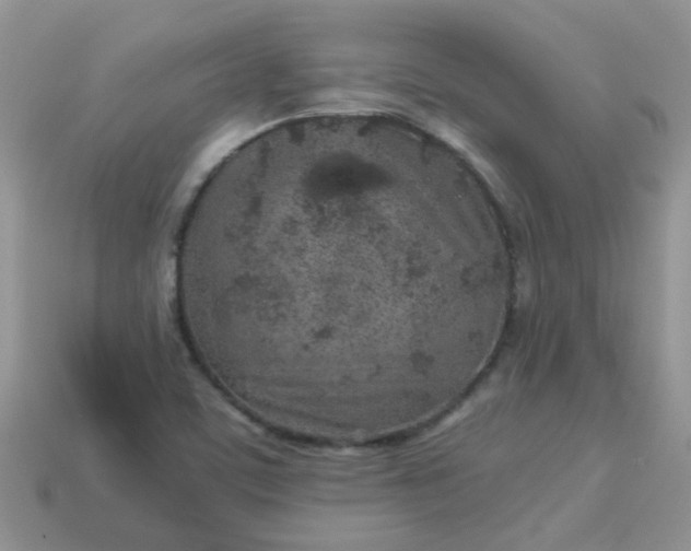X0000113041459200909101908