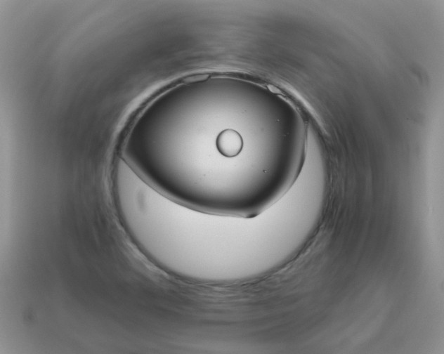 X0000113041460200909101908