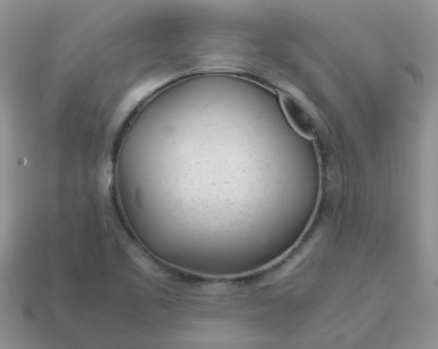 X0000113041461200909101908