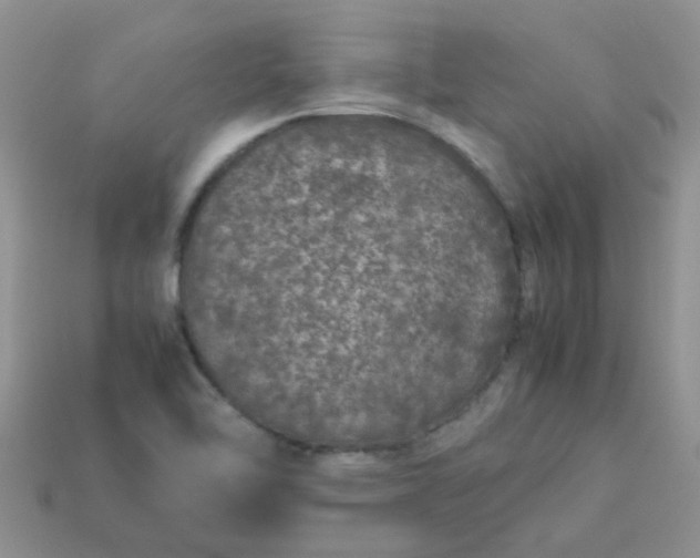 X0000113041462200909101908