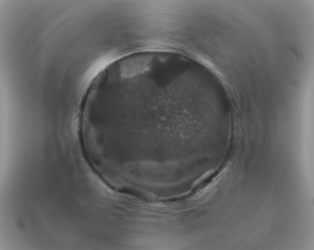 X0000113041463200909101908