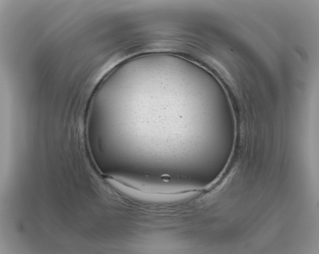 X0000113041465200909101908
