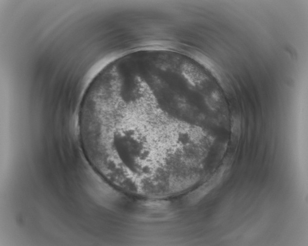 X0000113041466200909101908