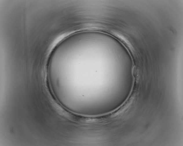 X0000113041467200909101908