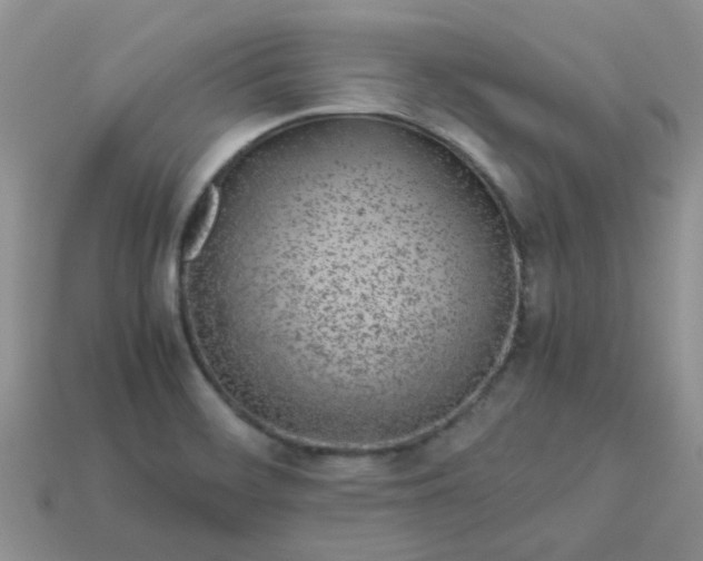 X0000113041468200909101908