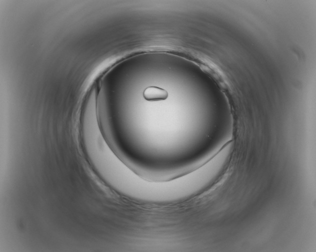 X0000113041469200909101908