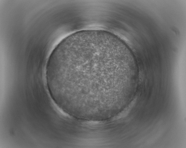 X0000113041470200909101908