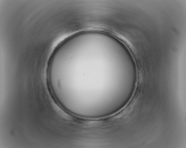 X0000113041471200909101908