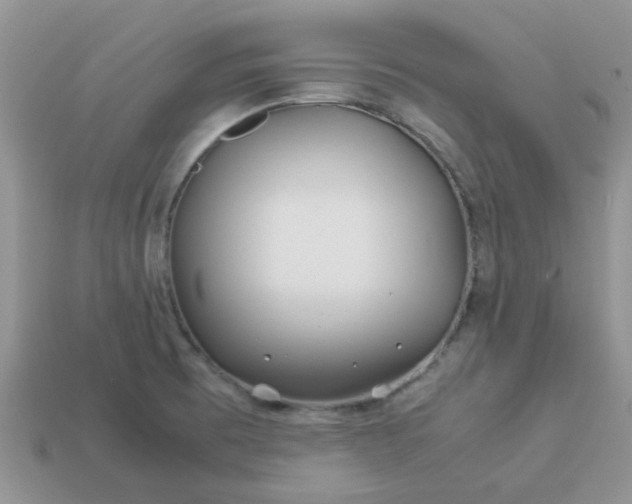X0000113041473200909101908