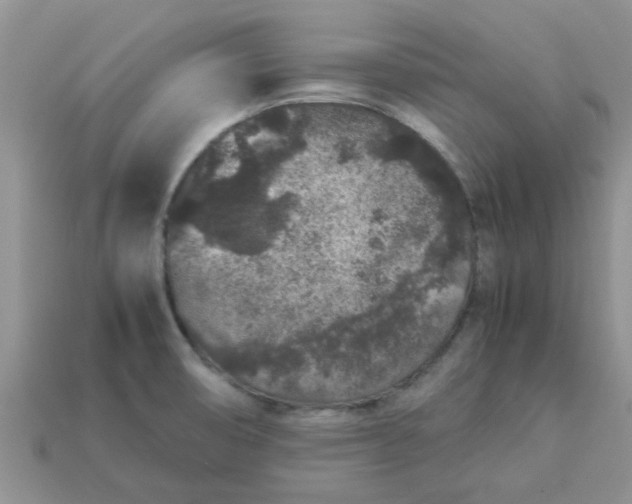 X0000113041474200909101908