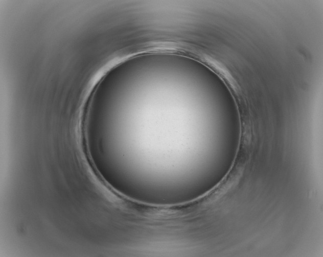 X0000113041475200909101908