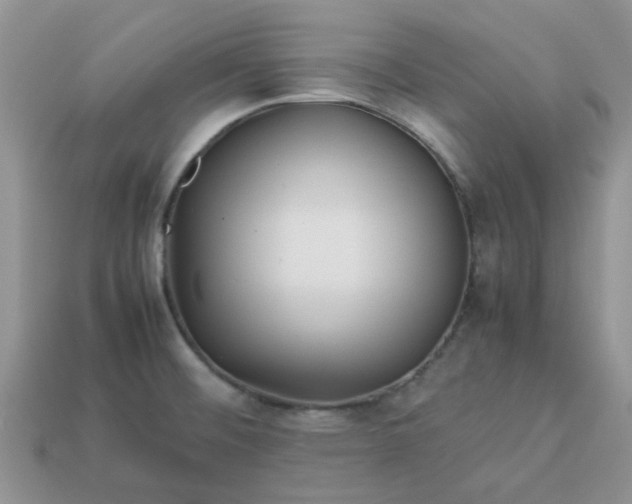X0000113041476200909101908