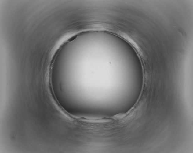 X0000113041477200909101908