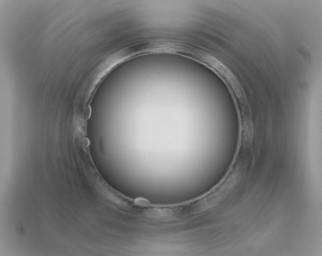 X0000113041481200909101908