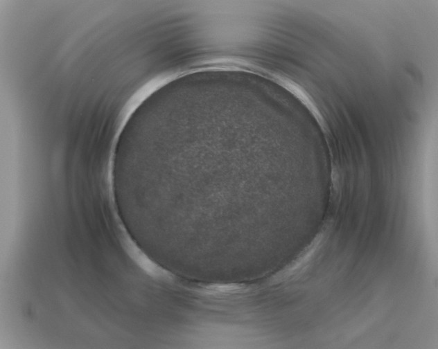 X0000113041482200909101908