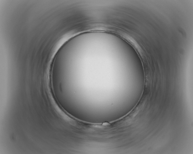 X0000113041483200909101908