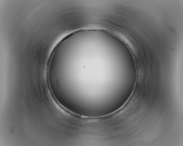 X0000113041484200909101908