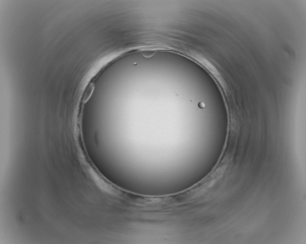 X0000113041485200909101908