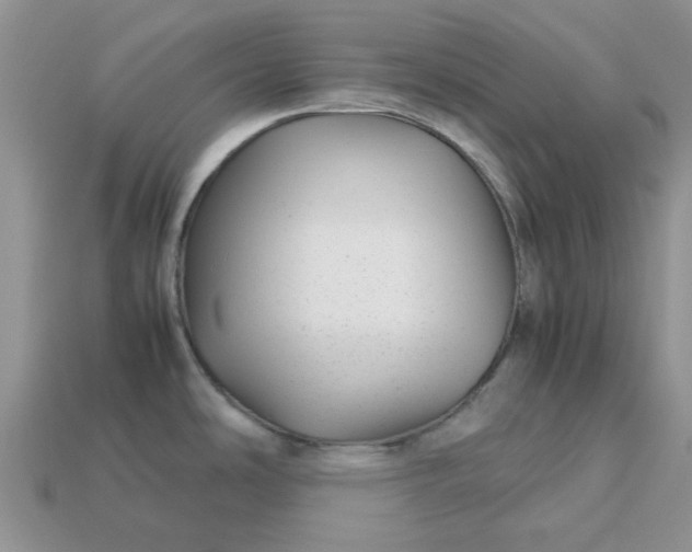 X0000113041486200909101908