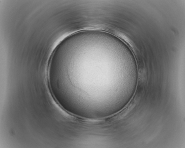 X0000113041487200909101908