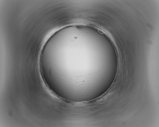 X0000113041488200909101908
