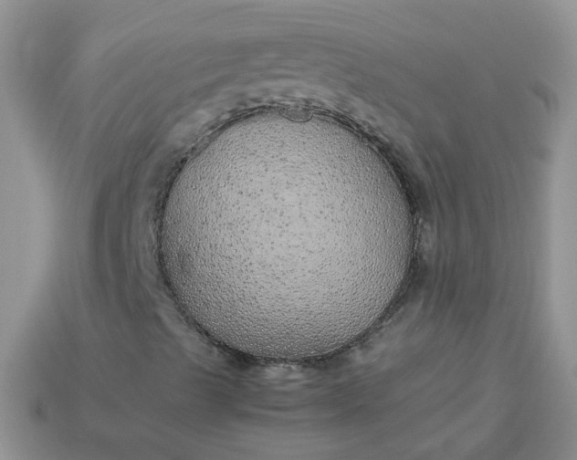 X0000113041489200909101907