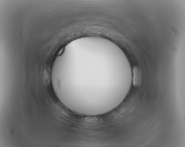 X0000113041491200909101907