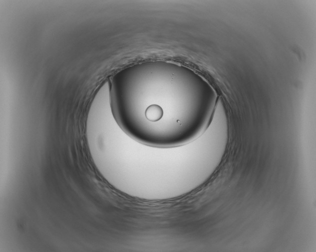 X0000113041492200909101907