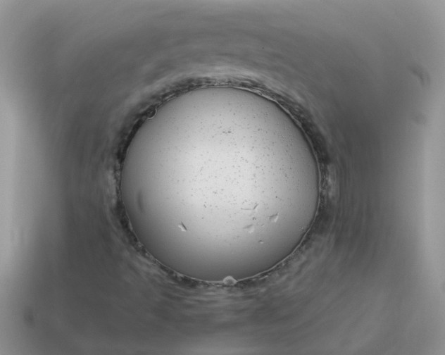 X0000113041493200909101907