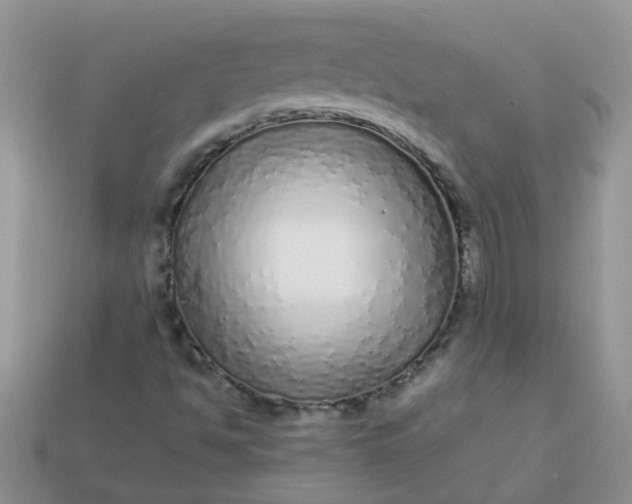 X0000113041494200909101907