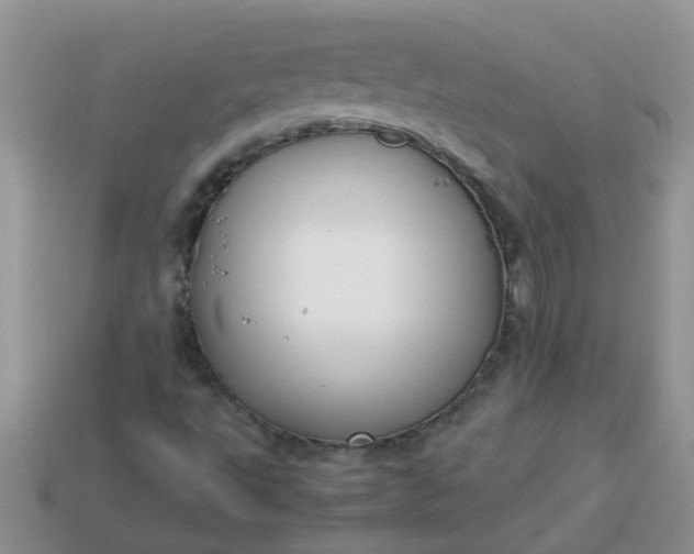 X0000113041495200909101907