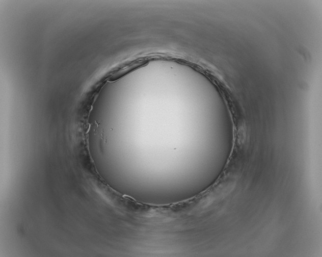 X0000113041496200909101907