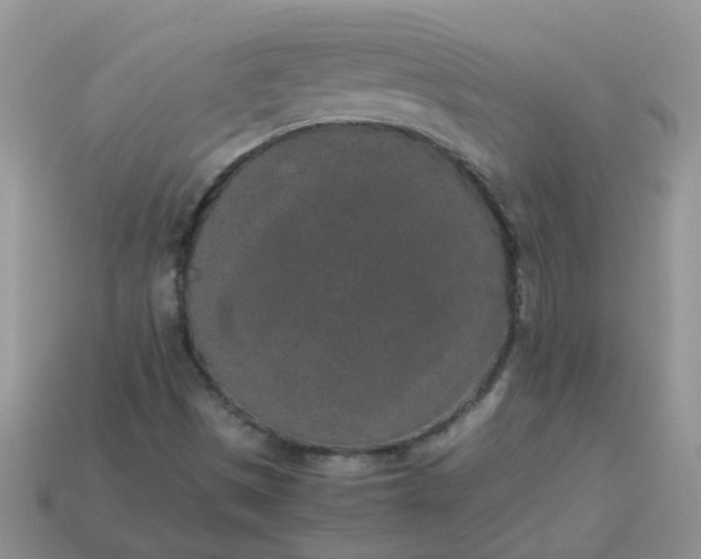 X0000113041497200909101907
