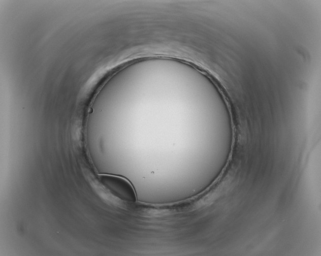 X0000113041499200909101907