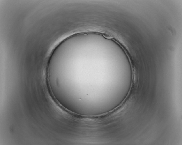 X0000113041500200909101907