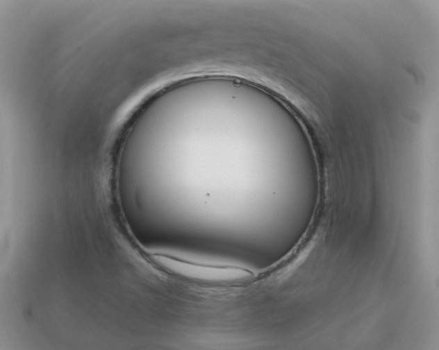 X0000113041502200909101907
