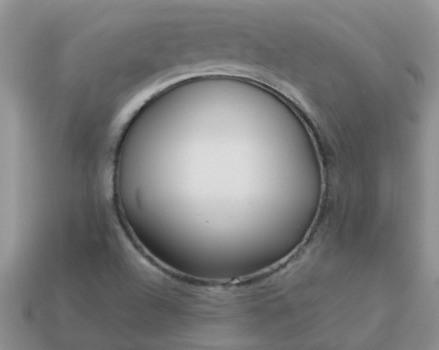 X0000113041504200909101907