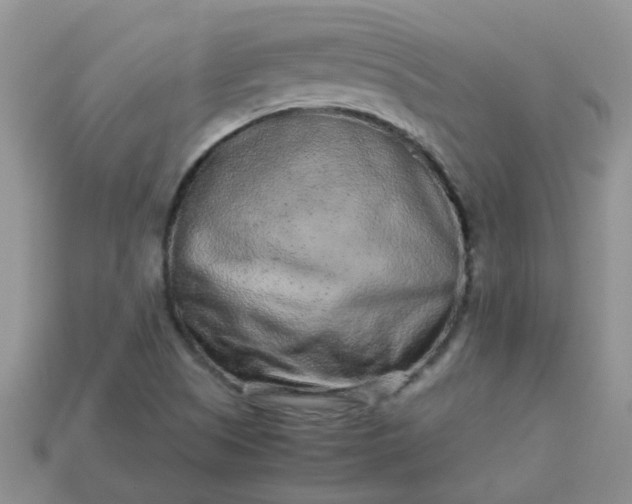 X0000113041505200909101907