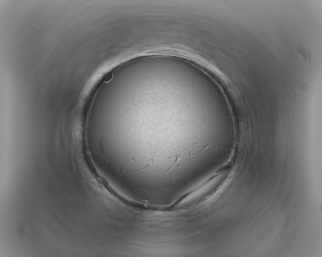 X0000113041506200909101907