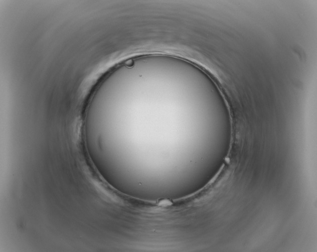 X0000113041507200909101907