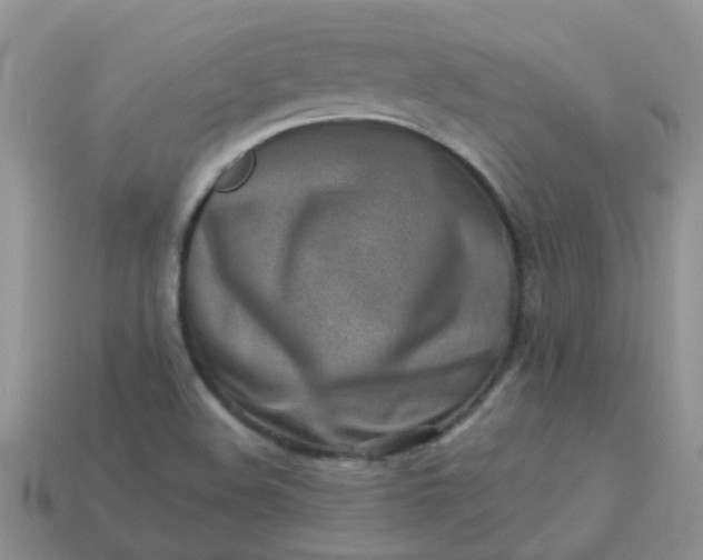 X0000113041508200909101907